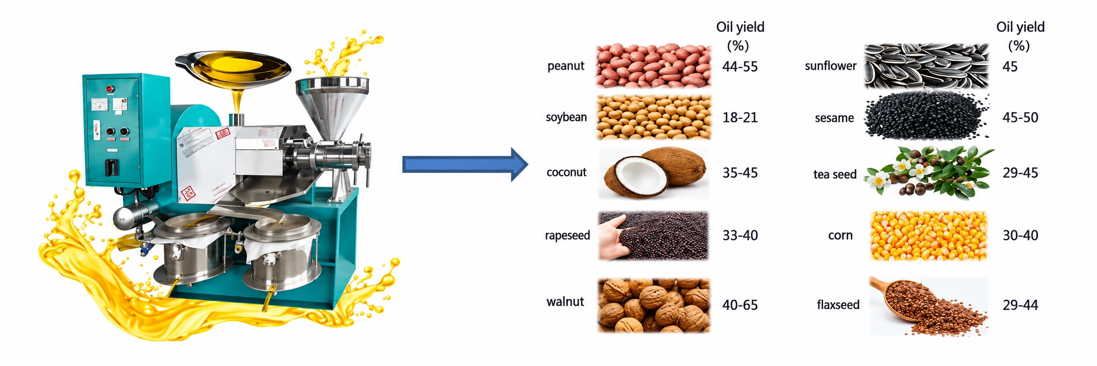 Screw oil press machine with oilseed materials and oil yield figures